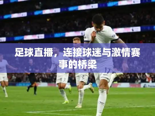 足球直播，连接球迷与激情赛事的桥梁
