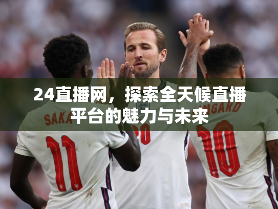 24直播网，探索全天候直播平台的魅力与未来
