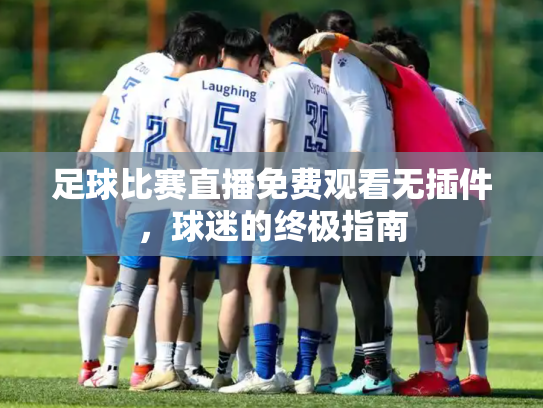 足球比赛直播免费观看无插件，球迷的终极指南