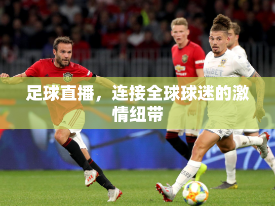 足球直播，连接全球球迷的激情纽带