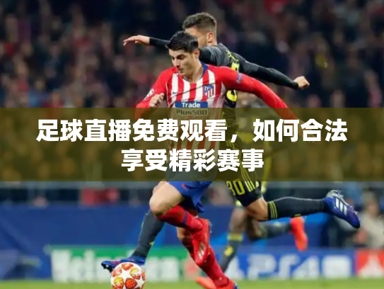 足球直播免费观看，如何合法享受精彩赛事