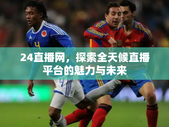 24直播网，探索全天候直播平台的魅力与未来