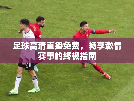 足球高清直播免费，畅享激情赛事的终极指南