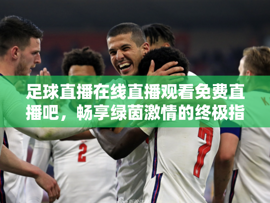 足球直播在线直播观看免费直播吧，畅享绿茵激情的终极指南