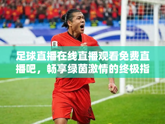 足球直播在线直播观看免费直播吧，畅享绿茵激情的终极指南