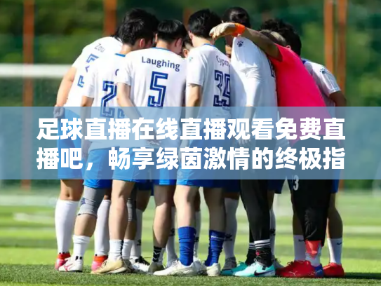 足球直播在线直播观看免费直播吧，畅享绿茵激情的终极指南