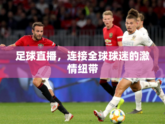 足球直播，连接全球球迷的激情纽带