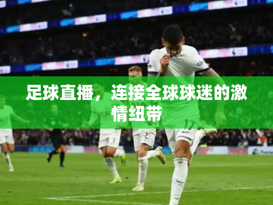 足球直播，连接全球球迷的激情纽带