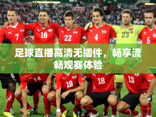 足球直播高清无插件，畅享流畅观赛体验