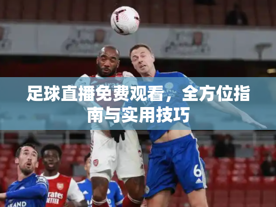 足球直播免费观看，全方位指南与实用技巧