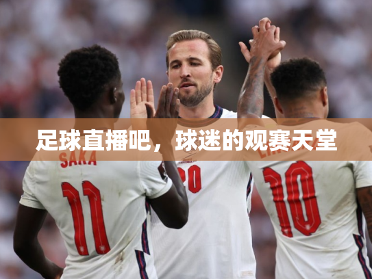 足球直播吧，球迷的观赛天堂