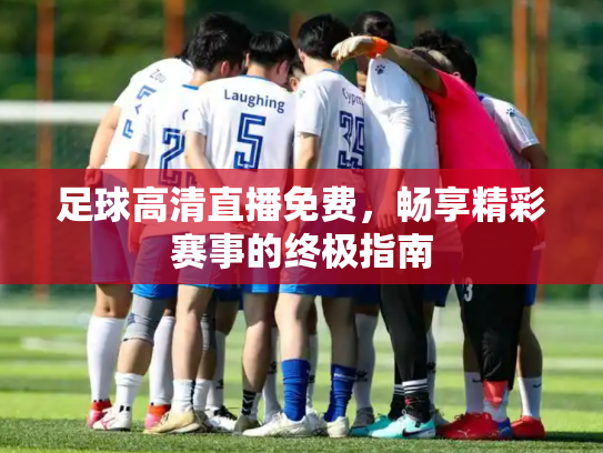 足球高清直播免费，畅享精彩赛事的终极指南