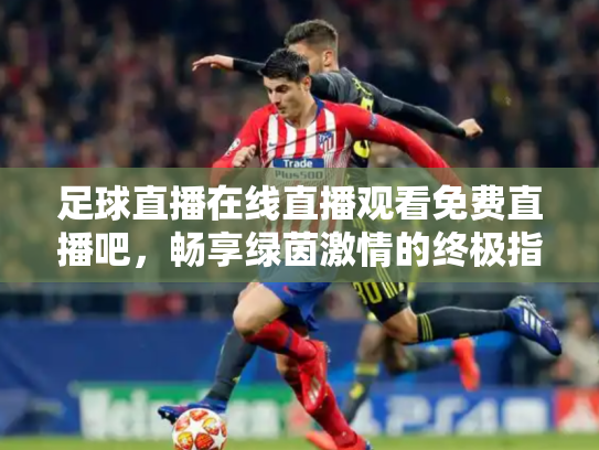 足球直播在线直播观看免费直播吧，畅享绿茵激情的终极指南