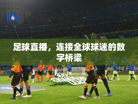 足球直播，连接全球球迷的数字桥梁
