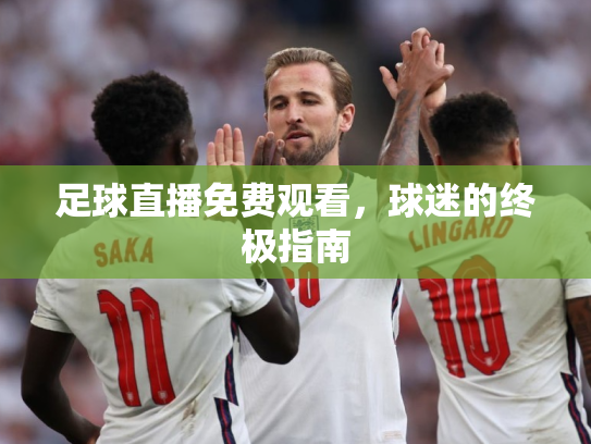 足球直播免费观看，球迷的终极指南