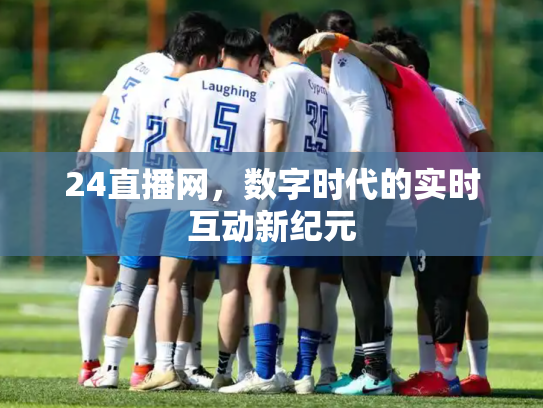 24直播网，数字时代的实时互动新纪元