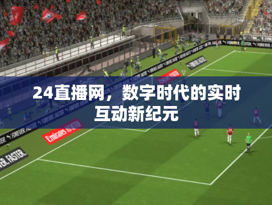 24直播网，数字时代的实时互动新纪元