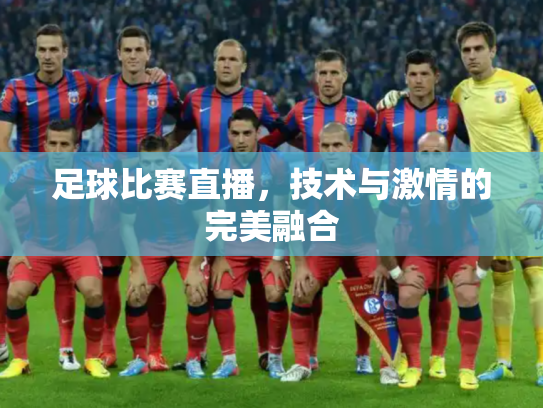 足球比赛直播，技术与激情的完美融合