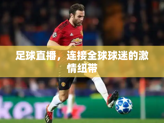 足球直播，连接全球球迷的激情纽带