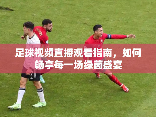 足球视频直播观看指南，如何畅享每一场绿茵盛宴