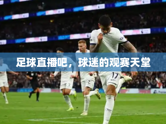 足球直播吧，球迷的观赛天堂