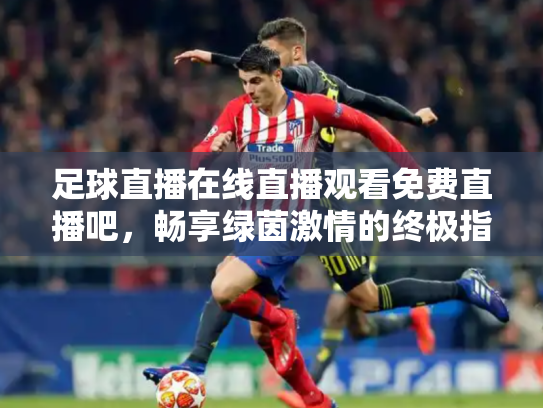 足球直播在线直播观看免费直播吧，畅享绿茵激情的终极指南