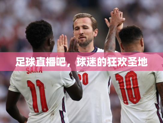 足球直播吧，球迷的狂欢圣地