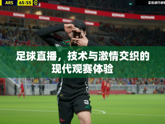 足球直播，技术与激情交织的现代观赛体验