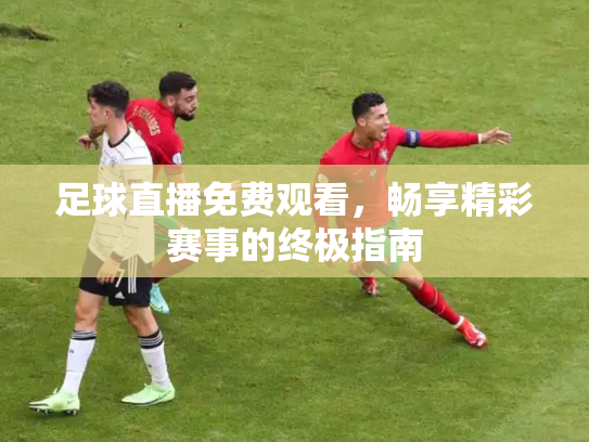 足球直播免费观看，畅享精彩赛事的终极指南