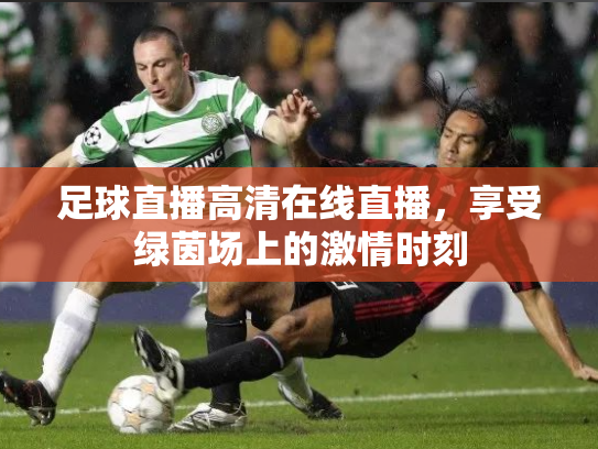 足球直播高清在线直播，享受绿茵场上的激情时刻