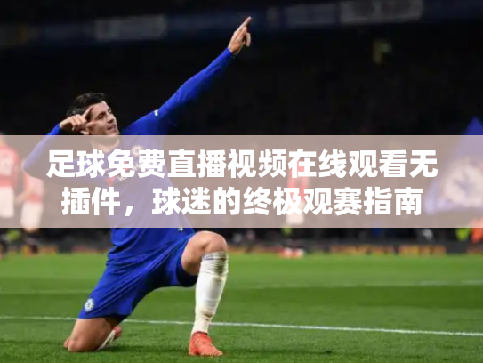 足球免费直播视频在线观看无插件，球迷的终极观赛指南
