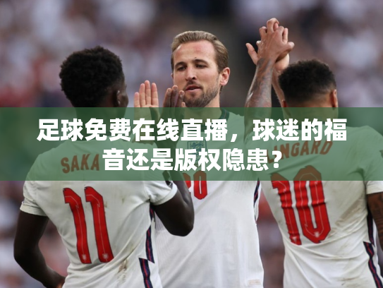足球免费在线直播，球迷的福音还是版权隐患？