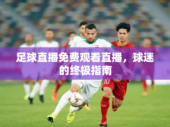 足球直播免费观看直播，球迷的终极指南
