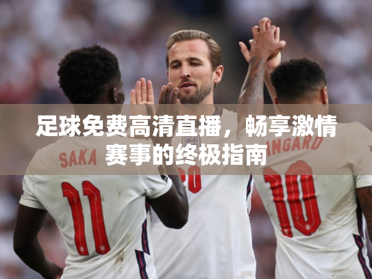 足球免费高清直播，畅享激情赛事的终极指南