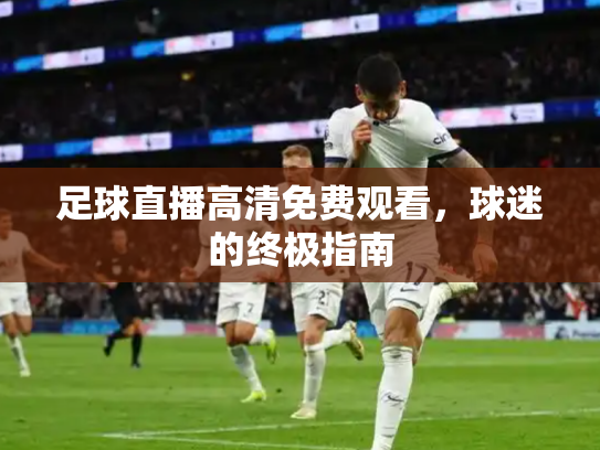 足球直播高清免费观看，球迷的终极指南