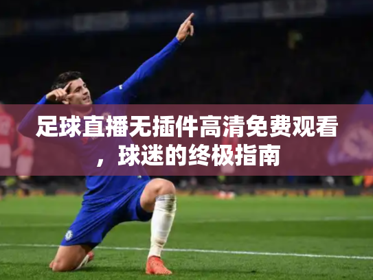足球直播无插件高清免费观看，球迷的终极指南