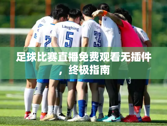 足球比赛直播免费观看无插件，终极指南