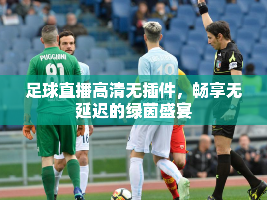 足球直播高清无插件，畅享无延迟的绿茵盛宴