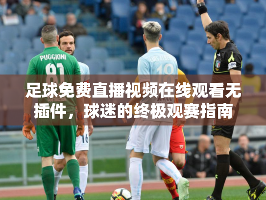足球免费直播视频在线观看无插件，球迷的终极观赛指南