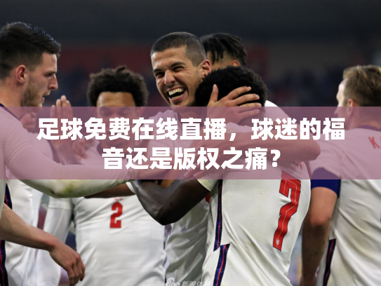 足球免费在线直播，球迷的福音还是版权之痛？