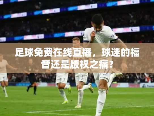 足球免费在线直播，球迷的福音还是版权之痛？