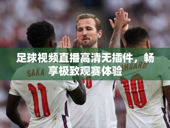 足球视频直播高清无插件，畅享极致观赛体验