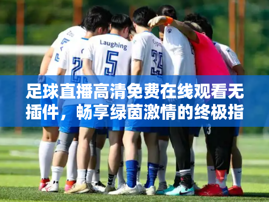足球直播高清免费在线观看无插件，畅享绿茵激情的终极指南
