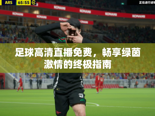 足球高清直播免费，畅享绿茵激情的终极指南