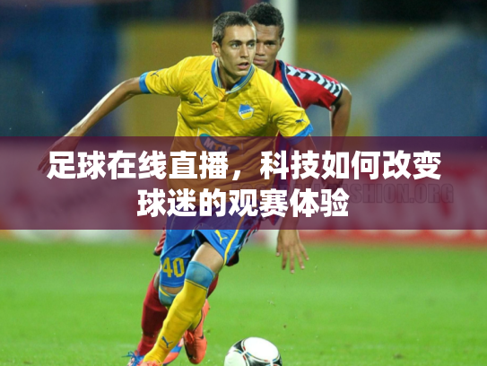 足球在线直播，科技如何改变球迷的观赛体验
