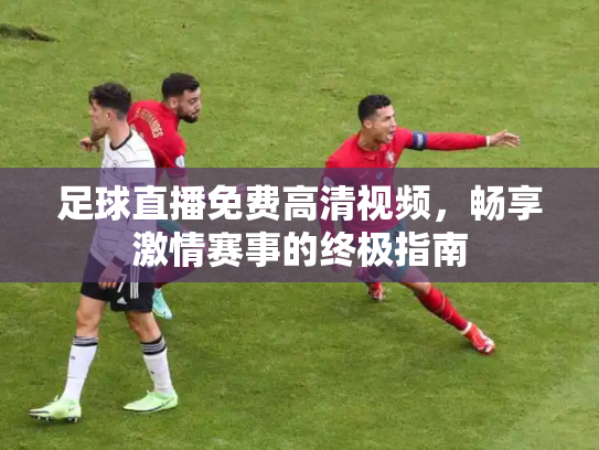 足球直播免费高清视频，畅享激情赛事的终极指南