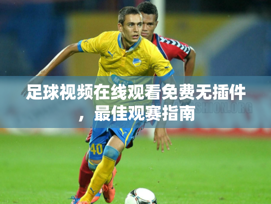 足球视频在线观看免费无插件，最佳观赛指南