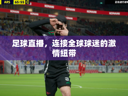 足球直播，连接全球球迷的激情纽带