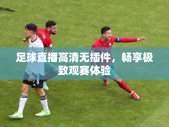 足球直播高清无插件，畅享极致观赛体验