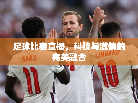 足球比赛直播，科技与激情的完美融合